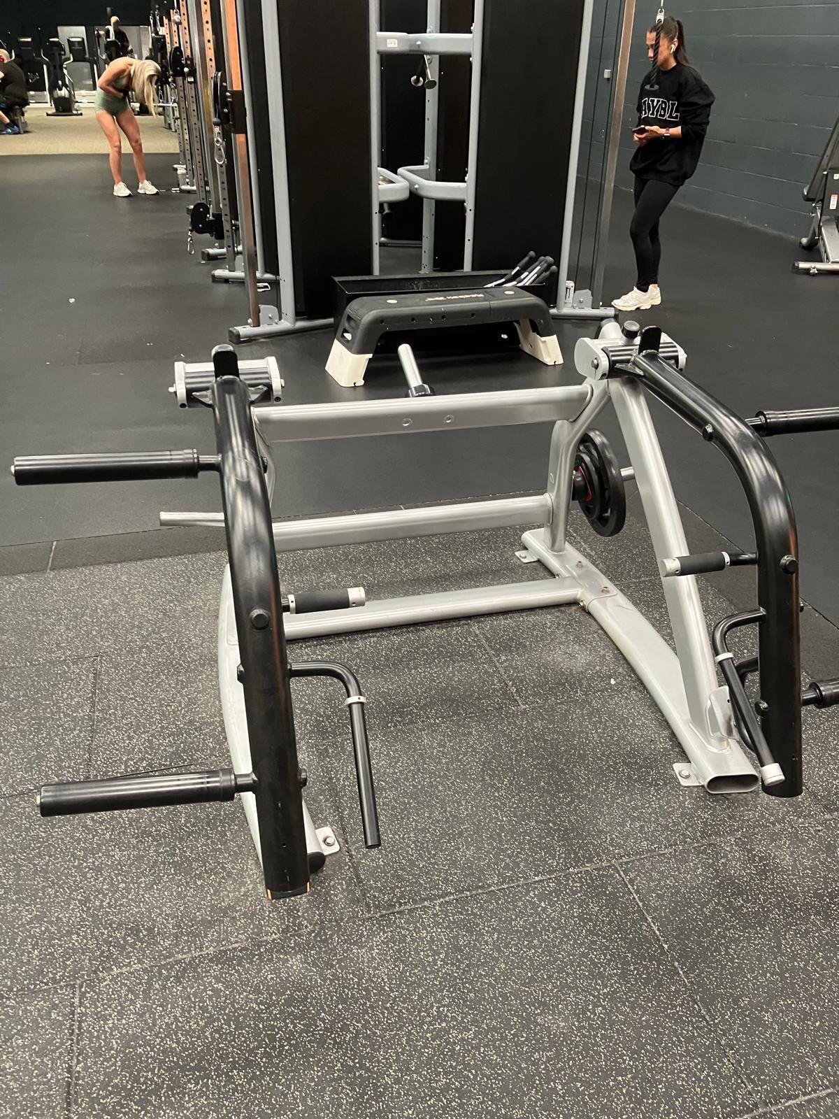 Matrix Machine de musculation à disques